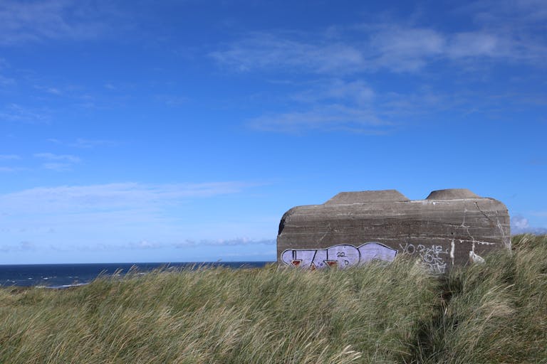 Concrete structure with graffiti on a grassy coastal landscape under a clear blue sky.