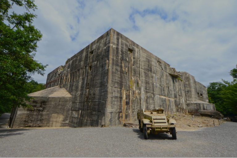 Group 2 20 scaled 1 768x513
